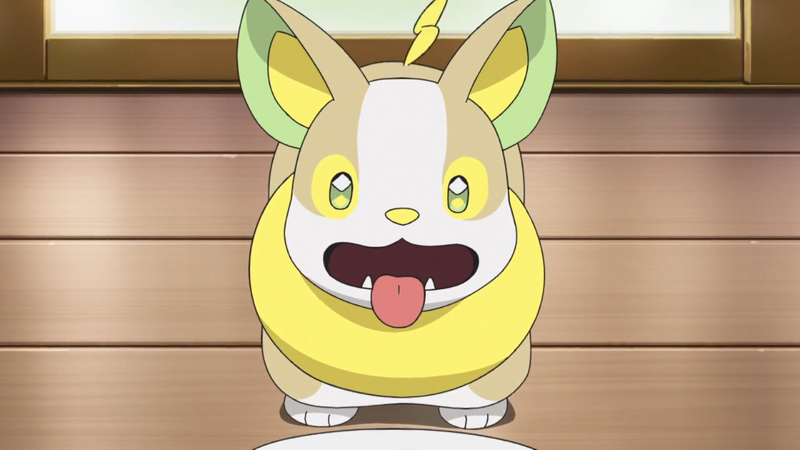 Fichier:Voltoutou de Chloé.png