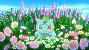 XY039 - Bulbizarre de Sannah.png