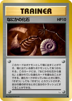 Carte 化石の秘密 なにかの化石.png