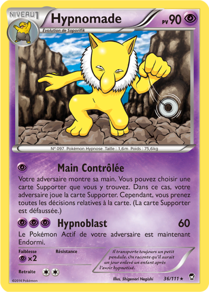 Fichier:Carte XY Poings Furieux 36.png