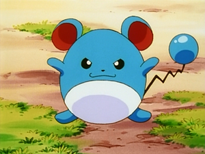 EP088 - Marill de Jacky.png