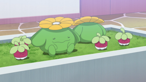 LH010 - Croquine et Floravol.png