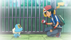 LV108 - Grenousse et Pikachu de Sacha (Flash-back).png