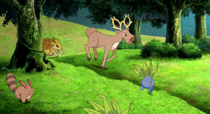 Mystherbe sauvage - Film 12.png