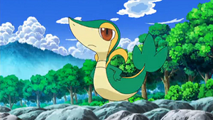 NB013 - Vipélierre de Sacha.png