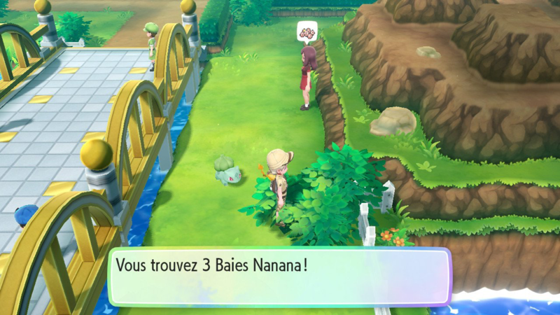 Fichier:Route 24 Baie Nanana LGPE.png