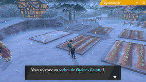 Hameau Gelé Graines Carotte EB.png