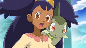 NB054 - Coupenotte d'Iris.png