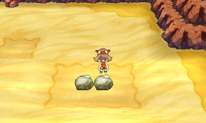 Route 111 Fossile Griffe & Fossile Racine ROSA.png