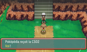 Route 119 CS02 ROSA.png