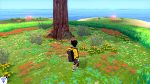 Taupiqueur d'Alola Îlot Calméole 11 EB.png