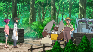XY063 - Excavarenne d'un Dresseur.png
