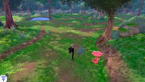 Forêt Flexion Maxi Champi EB.png