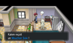 Port Tempères Mouchoir Soie XY.png