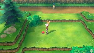 Route 3 Potion LGPE.png