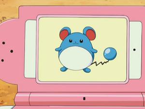 DP137 - Marill Pokédex.png