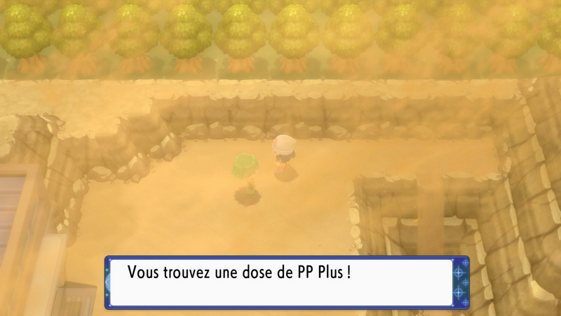 Fichier:Route 228 PP Plus DEPS.png