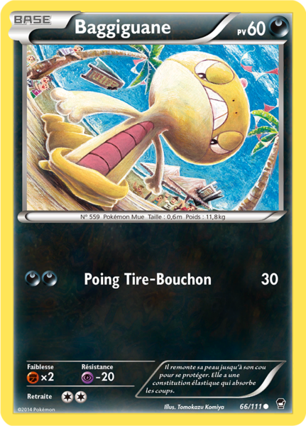 Fichier:Carte XY Poings Furieux 66.png