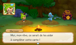 …que ce serait son rêve de pouvoir y contribuer…