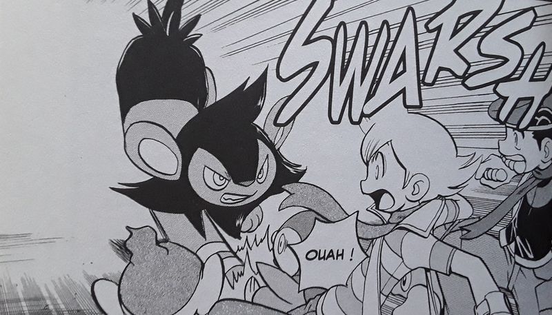 Fichier:Ray (Chapitre 340)-PMS.jpg