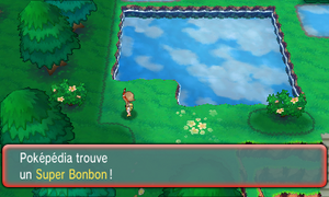 Route 120 Super Bonbon 2 ROSA.png