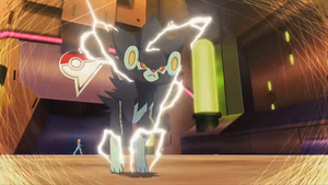 XY140 - Luxray de Lem (Flash-back).png