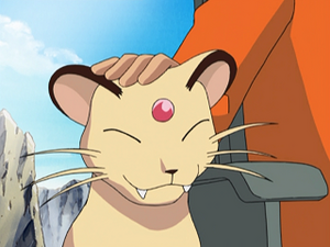 AG132 - Persian de Giovanni.png