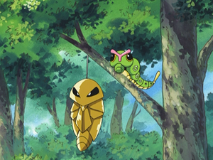 AG155 - Coconfort et Chenipan.png