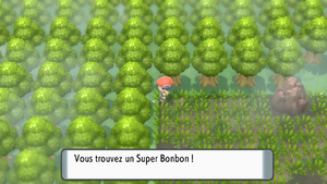 Grand Marais Super Bonbon DEPS.png