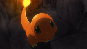 LV147 - Salamèche du Professeur Chen.png