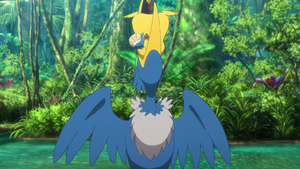 Nigosier Forme Gobe-Chu sauvage - Film 23.png