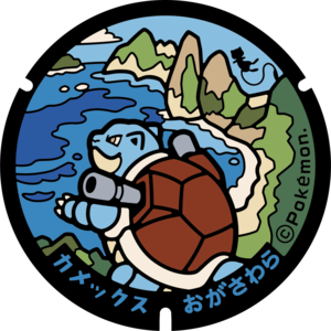Poké Lid 155 Ogasawara.png