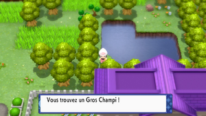 Route 229 Gros Champi DEPS.png