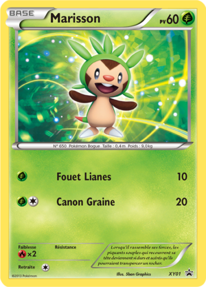 Carte Promo XY XY01.png