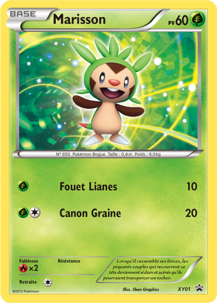 Fichier:Carte Promo XY XY01.png