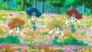 Floette de Goh.png