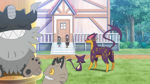 LH040 - Berserkatt.png