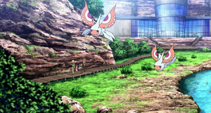 Maskadra sauvages Film 16.png