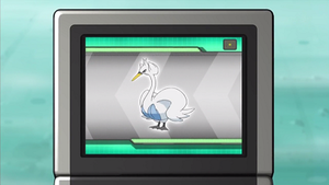 NB021 - Lakmécygne Pokédex.png