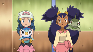 NB091 - Tiplouf d'Aurore et Coupenotte d'Iris.png