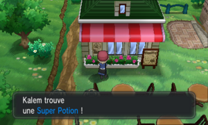 Neuvartault Super Potion XY.png