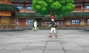 Studio Photo USUL - Arrière-plan 27.png