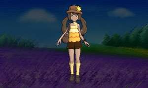 Vidéo Dresseur Décor Luminosité Sombre.png