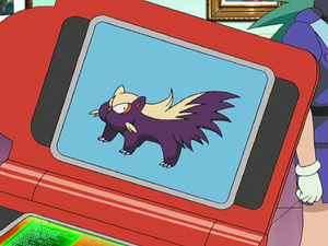 DP036 - Moufouette Pokédex.png