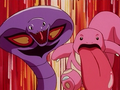 Arbok (de Jessie) et Excelangue (de Jessie)