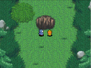 Forêt Trompeuse (6) PDMTO.png