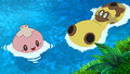 Viskuse et Hippopotas (sauvages)
