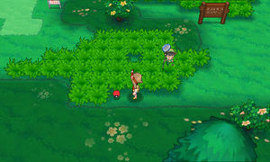 Route 116 Repousse ROSA.png