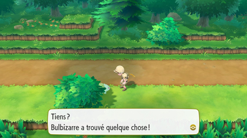 Fichier:Route 15 Baie Nanana LGPE.png