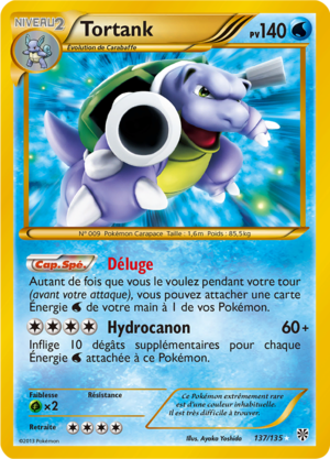 Carte Noir & Blanc Tempête Plasma 137.png